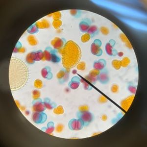 Meet your Posher, Jill